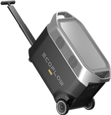 Delta Pro ?? 